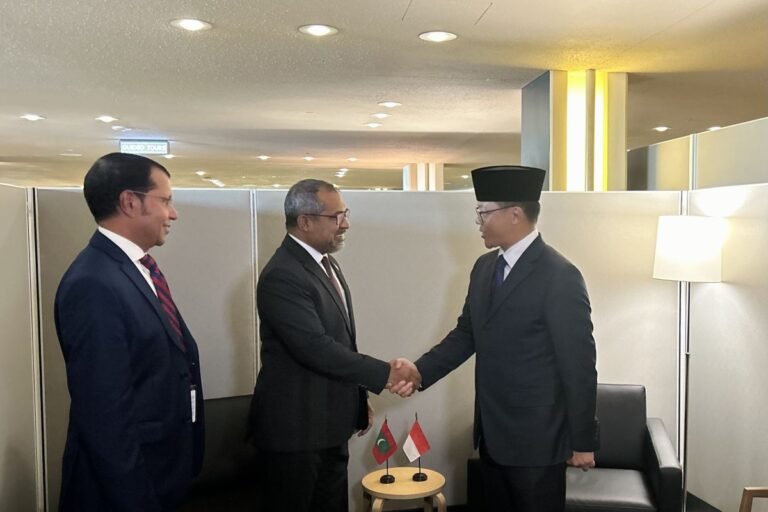 Indonesia dan Maladewa akan merevitalisasi hubungan kerja sama kesehatan