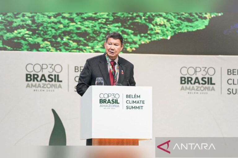 Indonesia memastikan transisi energi yang inklusif menjelang COP30