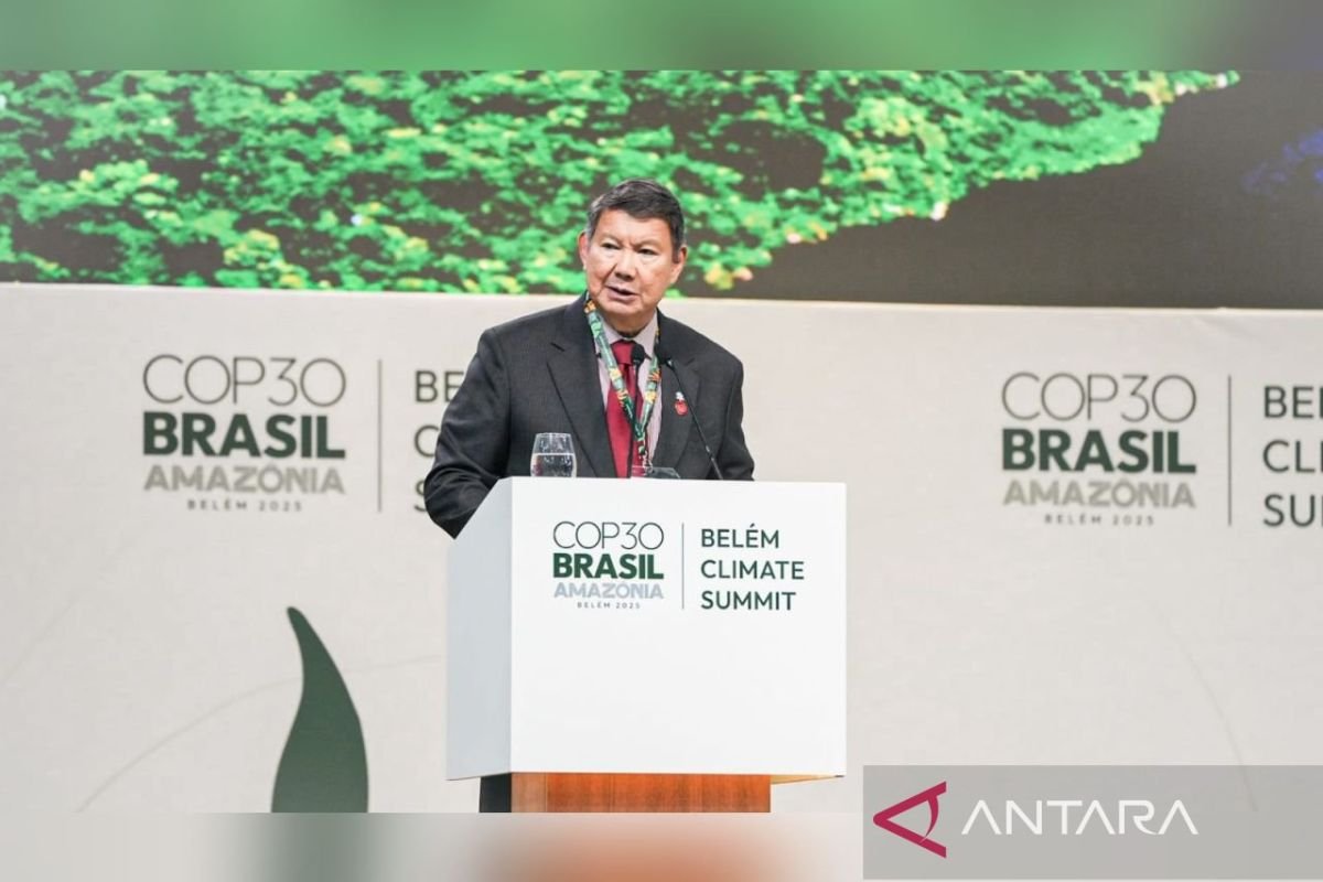 Indonesia memastikan transisi energi yang inklusif menjelang COP30