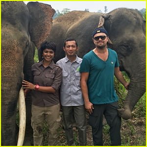 Leonardo DiCaprio Berjuang untuk Membantu Satwa Liar di Indonesia