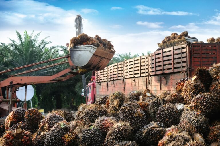 Diperbarui: Wasco Greenergy mendorong ekspansi regional meskipun ditutup di bawah harga IPO