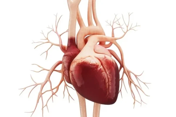 Gaya hidup dan stres mengikis keuntungan kesehatan jantung pada imigran jangka panjang di AS
