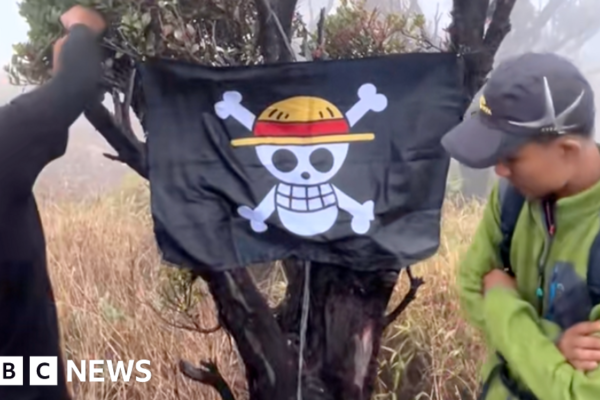 One Piece: Bagaimana sebuah tengkorak kartun menjadi simbol perlawanan di Indonesia