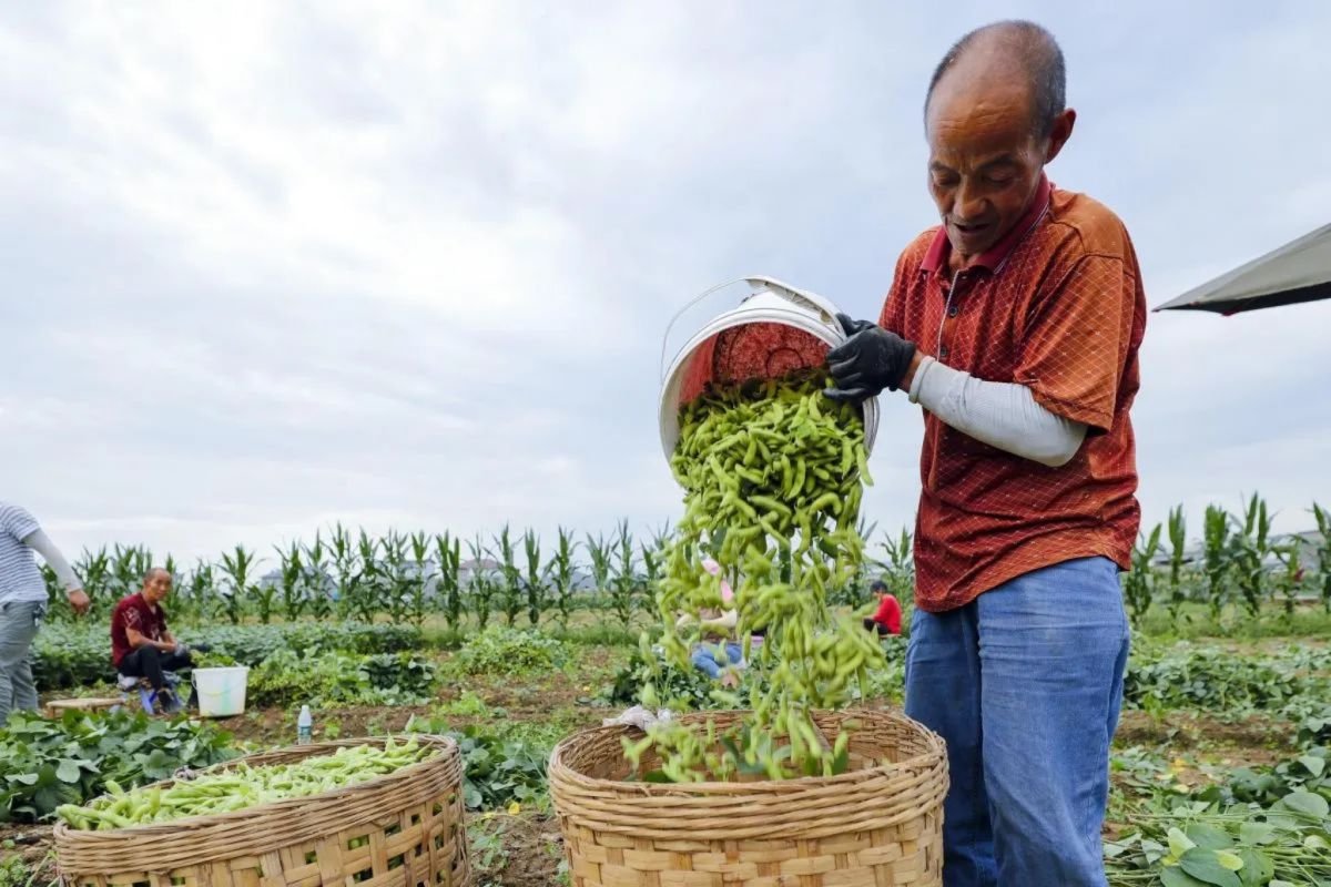 Indonesia menyatakan bahwa impor produk pertanian AS dengan tarif nol tidak akan merugikan industri lokal.