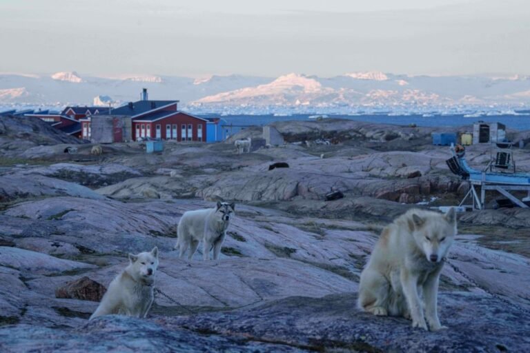 Apa arti perubahan iklim bagi gaya hidup tradisional suku Inuit di Greenland dan dunia