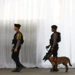 Indonesia menangkap 12 orang karena menyelundupkan bayi ke Singapura.