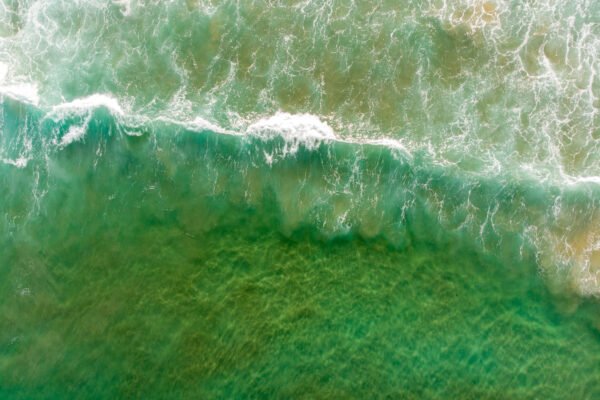 Memperkuat komunikasi sains untuk kesehatan planet di Indonesia