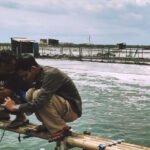 Perselisihan ekspor udang Indonesia ke AS menyembunyikan peningkatan produktivitas pertanian pada tahun 2025, menurut laporan.