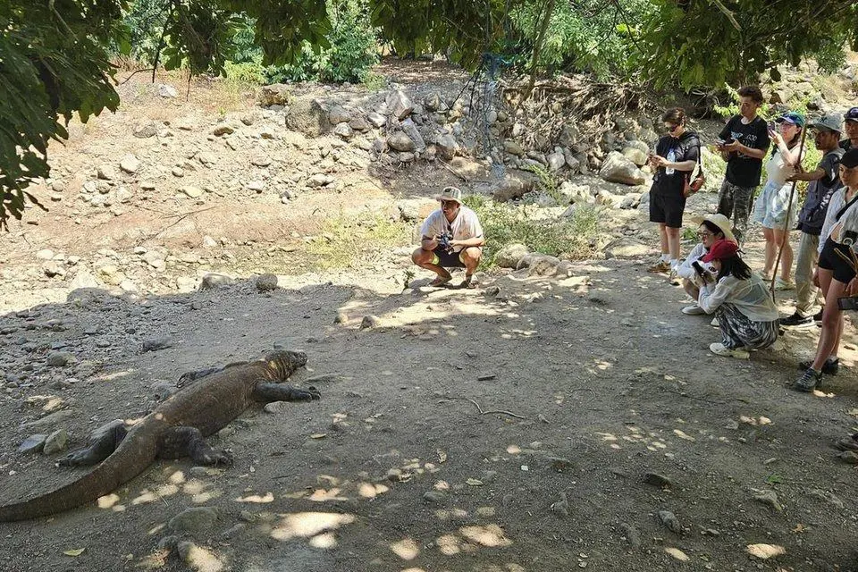 Terkenal dengan komodo, Labuan Bajo kini menjadi destinasi wisata populer, namun risiko pariwisata berlebihan tetap mengintai