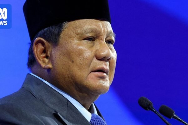 Bagaimana 'tokoh tangguh' Asia Tenggara sedang mengubah wajah negara tetangga terbesar Australia