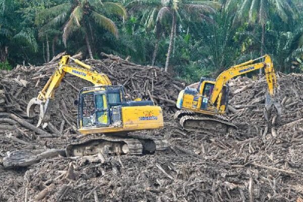 Bank Dunia Memperingatkan Bahwa Banjir di Sumatra Dapat Mengguncang Perekonomian Indonesia