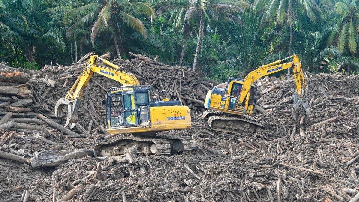 Bank Dunia Memperingatkan Bahwa Banjir di Sumatra Dapat Mengguncang Perekonomian Indonesia