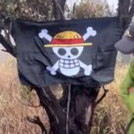 Bendera bajak laut ‘One Piece’ menjadi simbol perlawanan. Apakah tuduhan pengkhianatan akan menyusul?