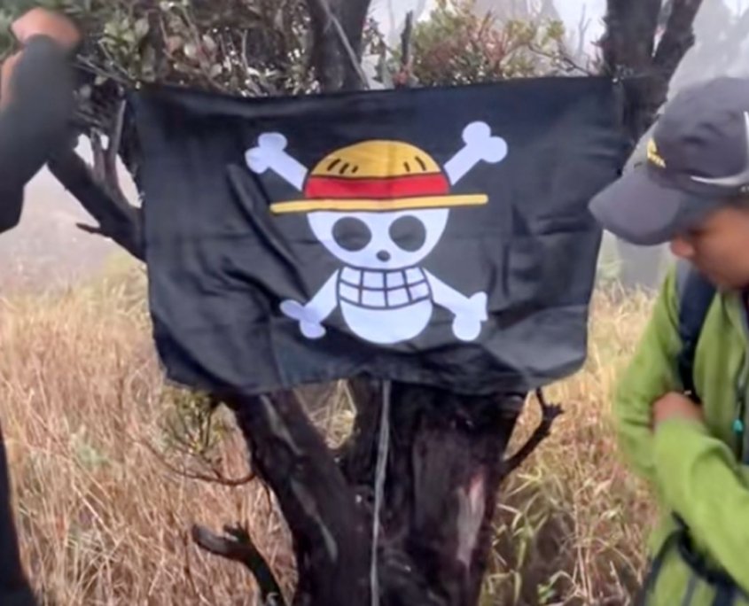 Bendera bajak laut ‘One Piece’ menjadi simbol perlawanan. Apakah tuduhan pengkhianatan akan menyusul?