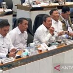 Indonesia Mencapai Swasembada Protein dan Karbohidrat: Bapanas