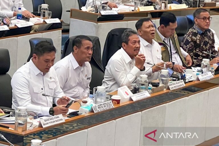 Indonesia Mencapai Swasembada Protein dan Karbohidrat: Bapanas