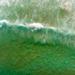 Memperkuat komunikasi sains untuk kesehatan planet di Indonesia