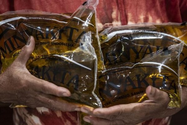 Menteri: Kelangkaan Plastik Memicu Kenaikan Harga Minyak Goreng di Indonesia