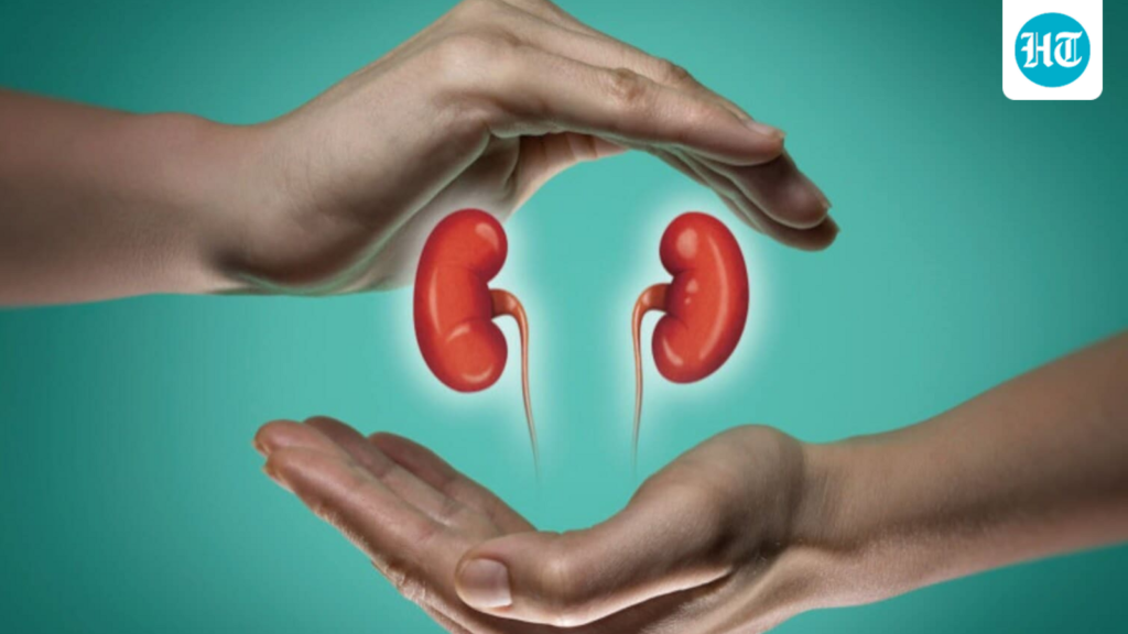 Seorang ahli nefrologi dari Rumah Sakit Sir Ganga Ram yang telah berpengalaman selama 20 tahun memperingatkan tentang kebiasaan-kebiasaan yang secara diam-diam memperparah krisis ginjal di India