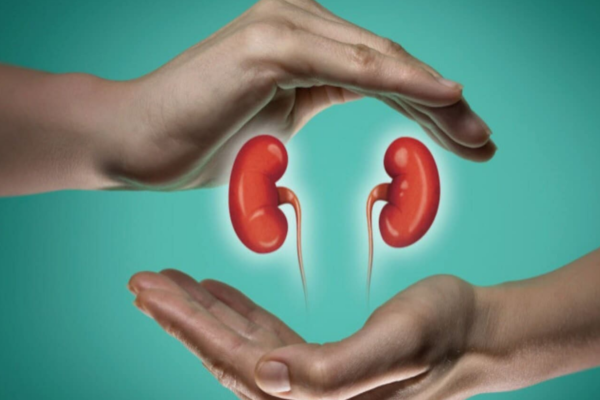 Seorang ahli nefrologi dari Rumah Sakit Sir Ganga Ram yang telah berpengalaman selama 20 tahun memperingatkan tentang kebiasaan-kebiasaan yang secara diam-diam memperparah krisis ginjal di India