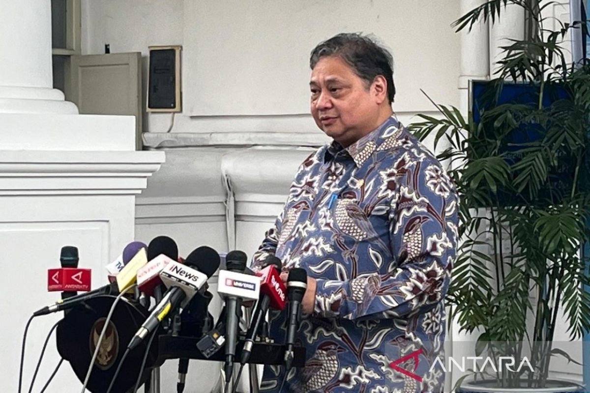 Proyek Twin Parks memperkuat hubungan ekonomi Indonesia-Tiongkok: kata menteri