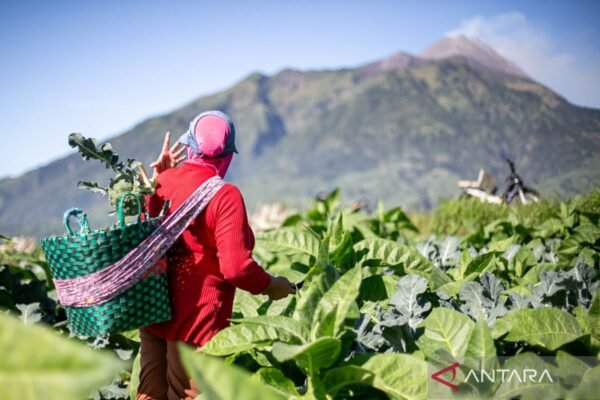 Ekonomi Indonesia tumbuh 5,11 persen berkat konsumsi yang kuat
