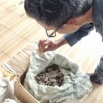 Indonesia menggagalkan penyelundupan 3 ton sisik trenggiling ke Kamboja