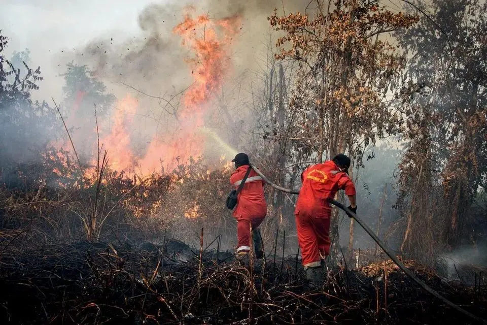 Titik-titik kebakaran dan curah hujan yang minim memicu kekhawatiran akan kabut asap di Asia Tenggara